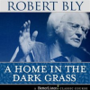 A_Home_in_the_Dark_Grass