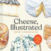 Cheese__illustrated