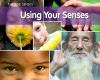 Using_your_senses