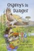 Ospreys_in_danger