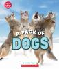 A_pack_of_dogs