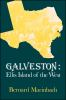 Galveston__Ellis_Island_of_the_West