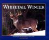 Whitetail_winter