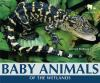 Baby_animals_of_the_wetlands