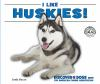 I_like_huskies_