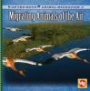 Migrating_animals_of_the_air