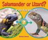 Salamander_or_lizard