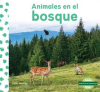 Animales_en_el_bosque__Animals_in_Forests_