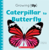 Caterpillar_to_Butterfly__Growing_Up_