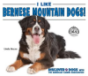 I_Like_Bernese_Mountain_Dogs_