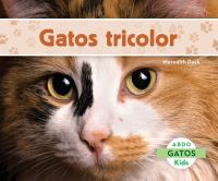 Gatos_tricolor