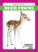 Deer_fawns