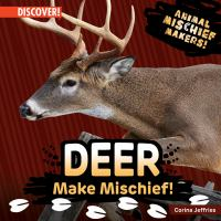 Deer_make_mischief_
