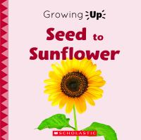 Seed_to_sunflower